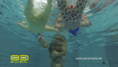/album/bebes-al-agua-/captura-de-pantalla-2014-03-02-a-la-s-17-40-18-png2/